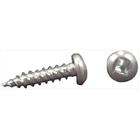 Ap Products Recess Screw- 1 In., 50PK A1W-PSQ508X1